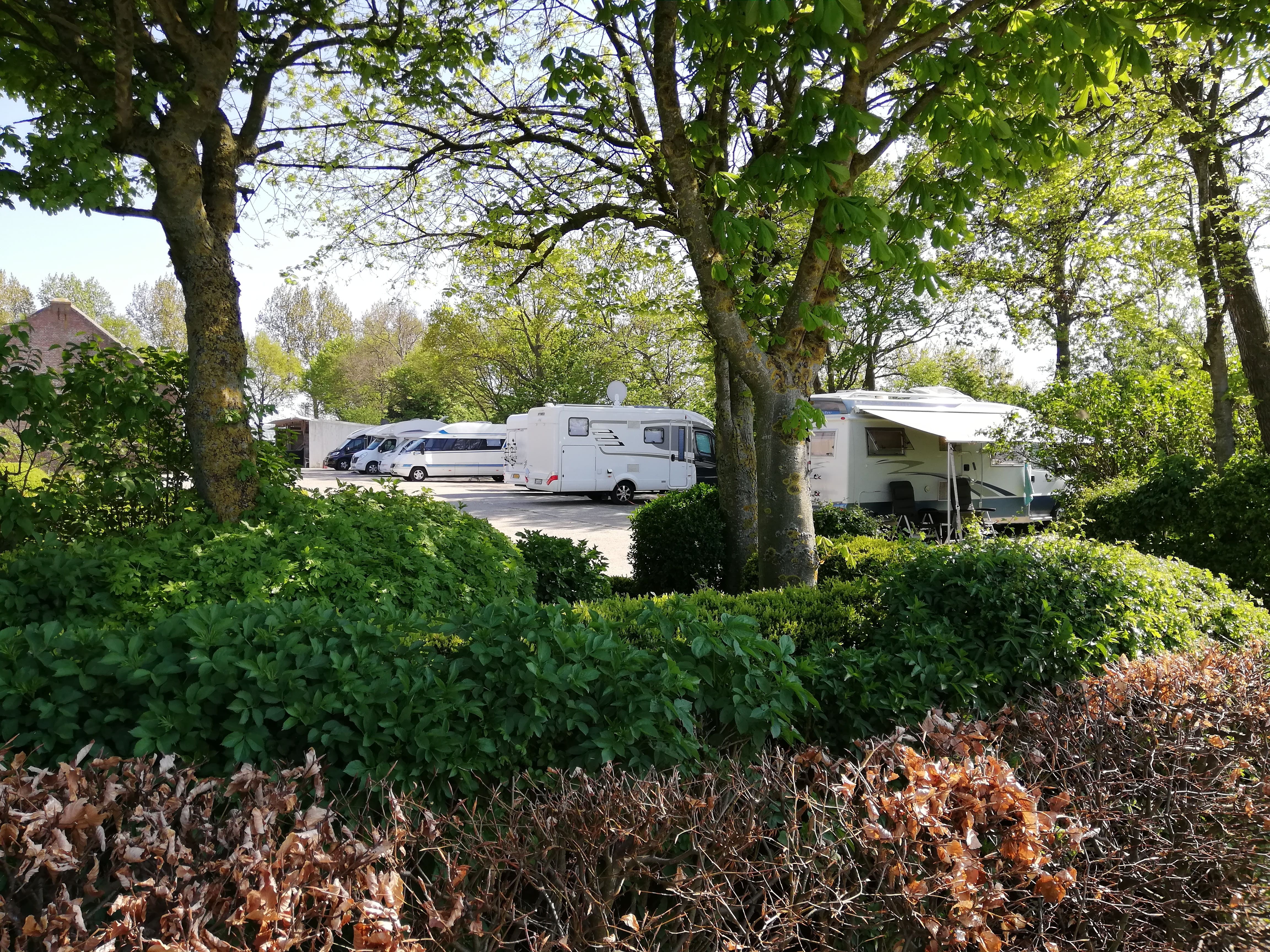 Espaco aberto na quinta